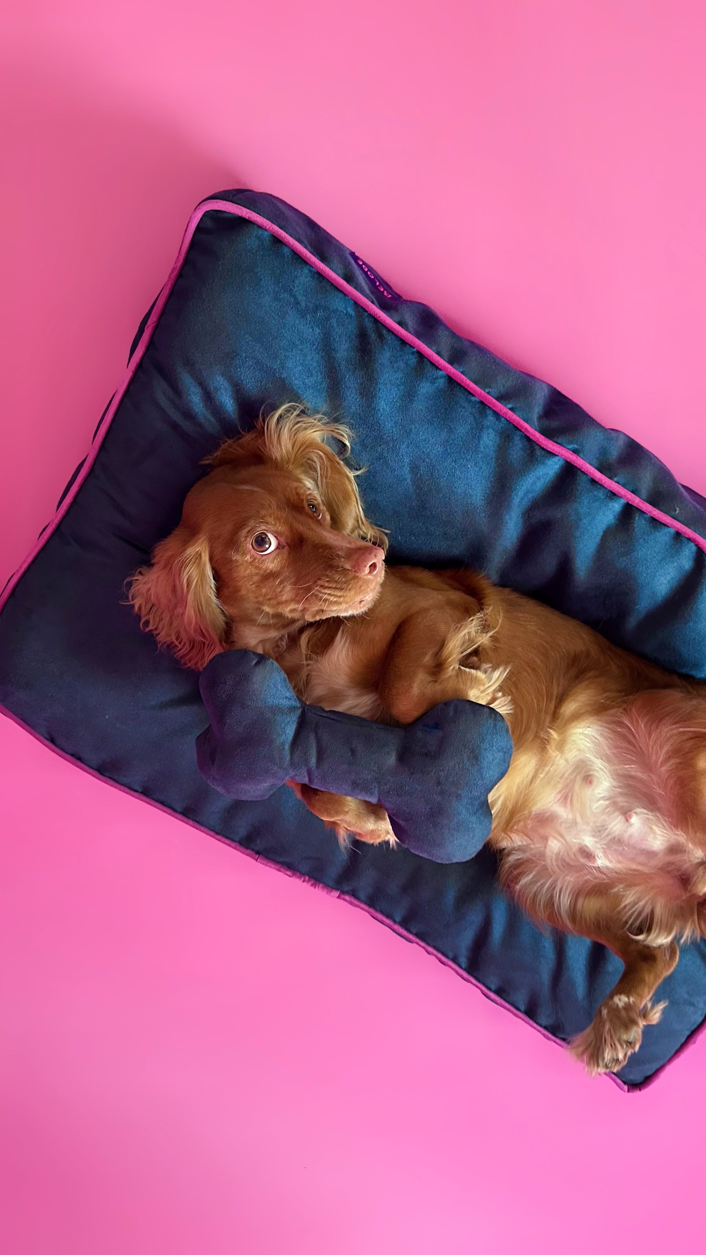“MONO SUEDE” DOG BEDS