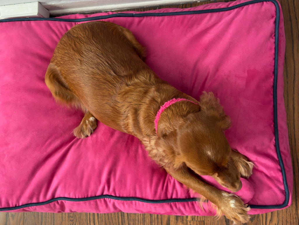 MONOCHROME DOG BED FUCHSIA / NAVY BLUE