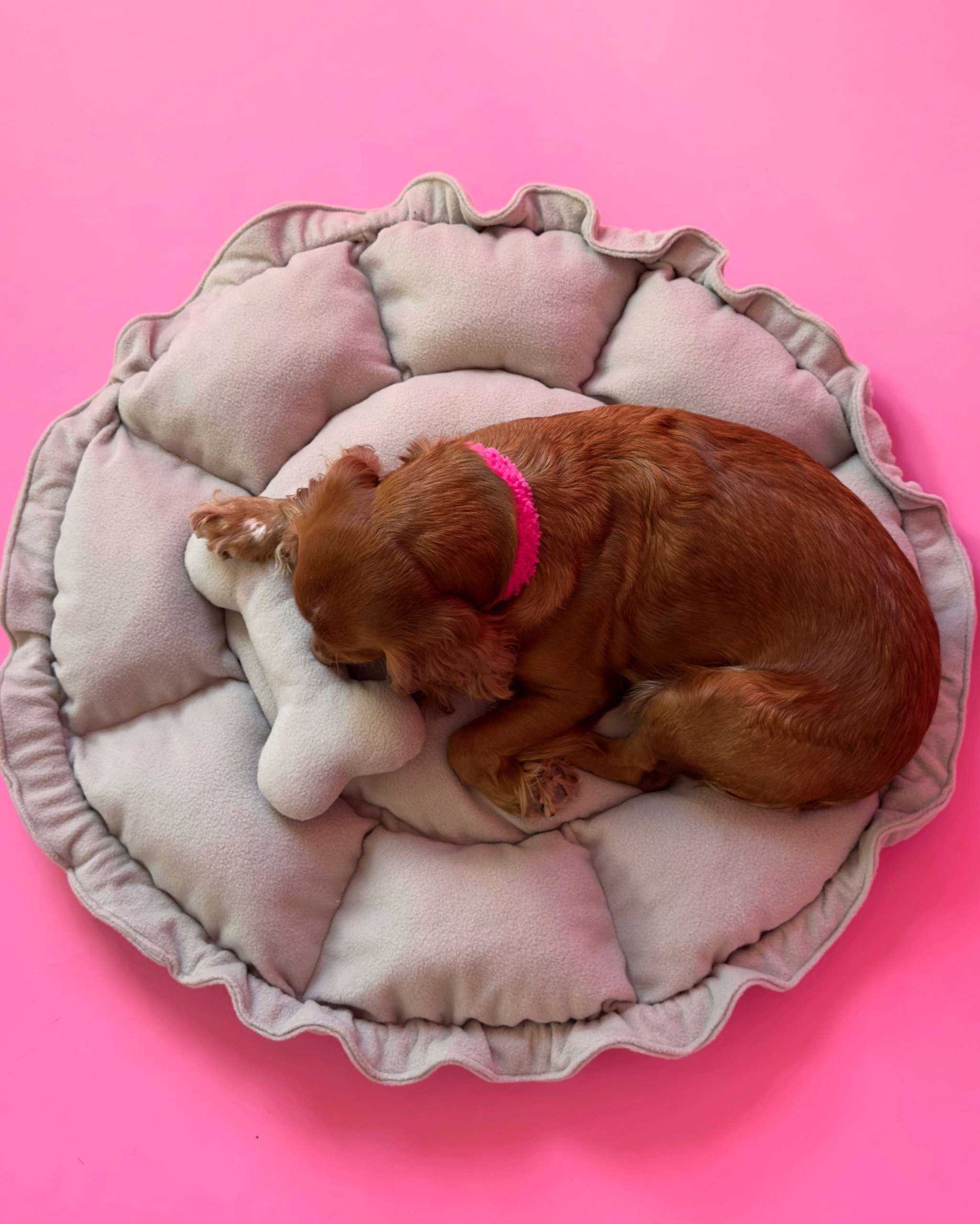 “Flower” Dog Bed - Soft Beige, Convertible Round Shape
