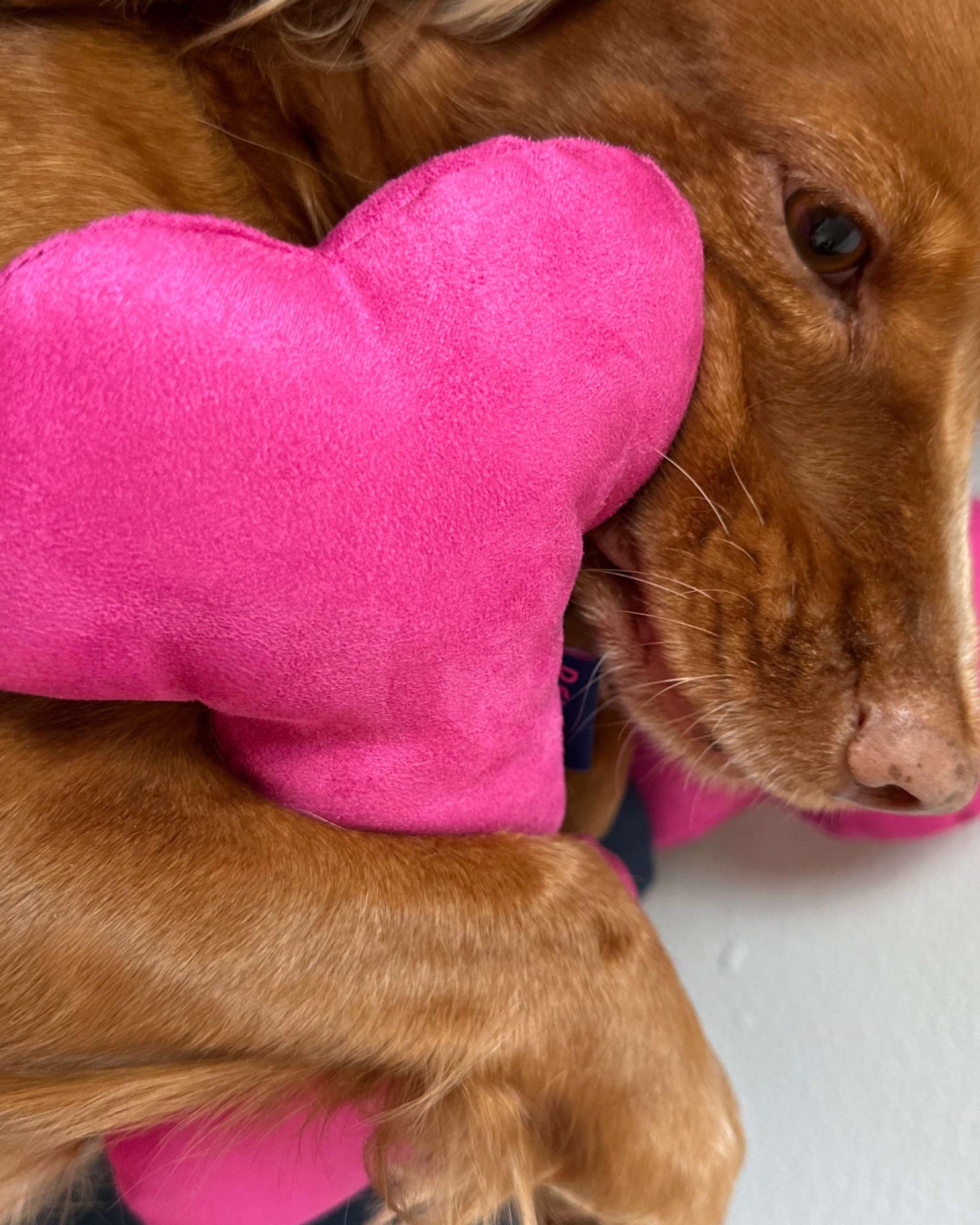 FUCHSIA PINK BONE DOG SQUEAKY TOY