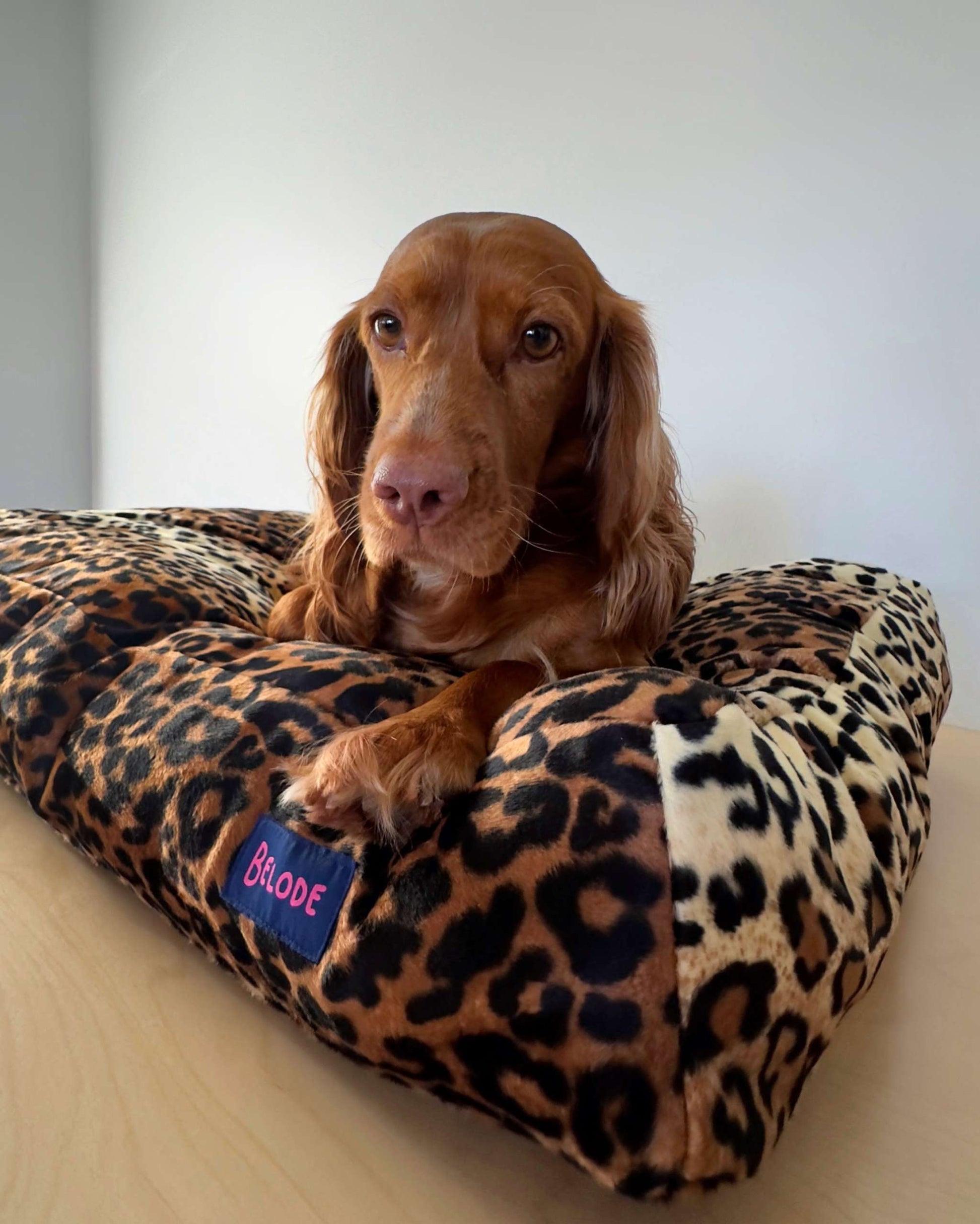 LEOPARD DOG BED BROWN/BLACK