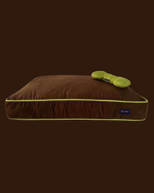 CHOCOLATE DOG BED WITH GREEN EDGING