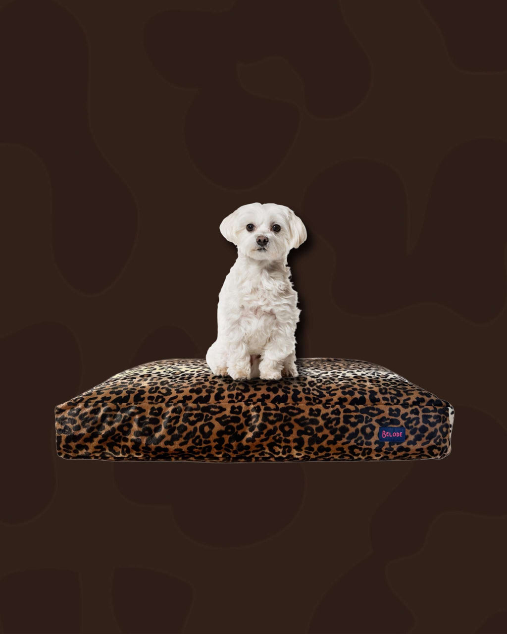 LEOPARD DOG BED BROWN/BLACK