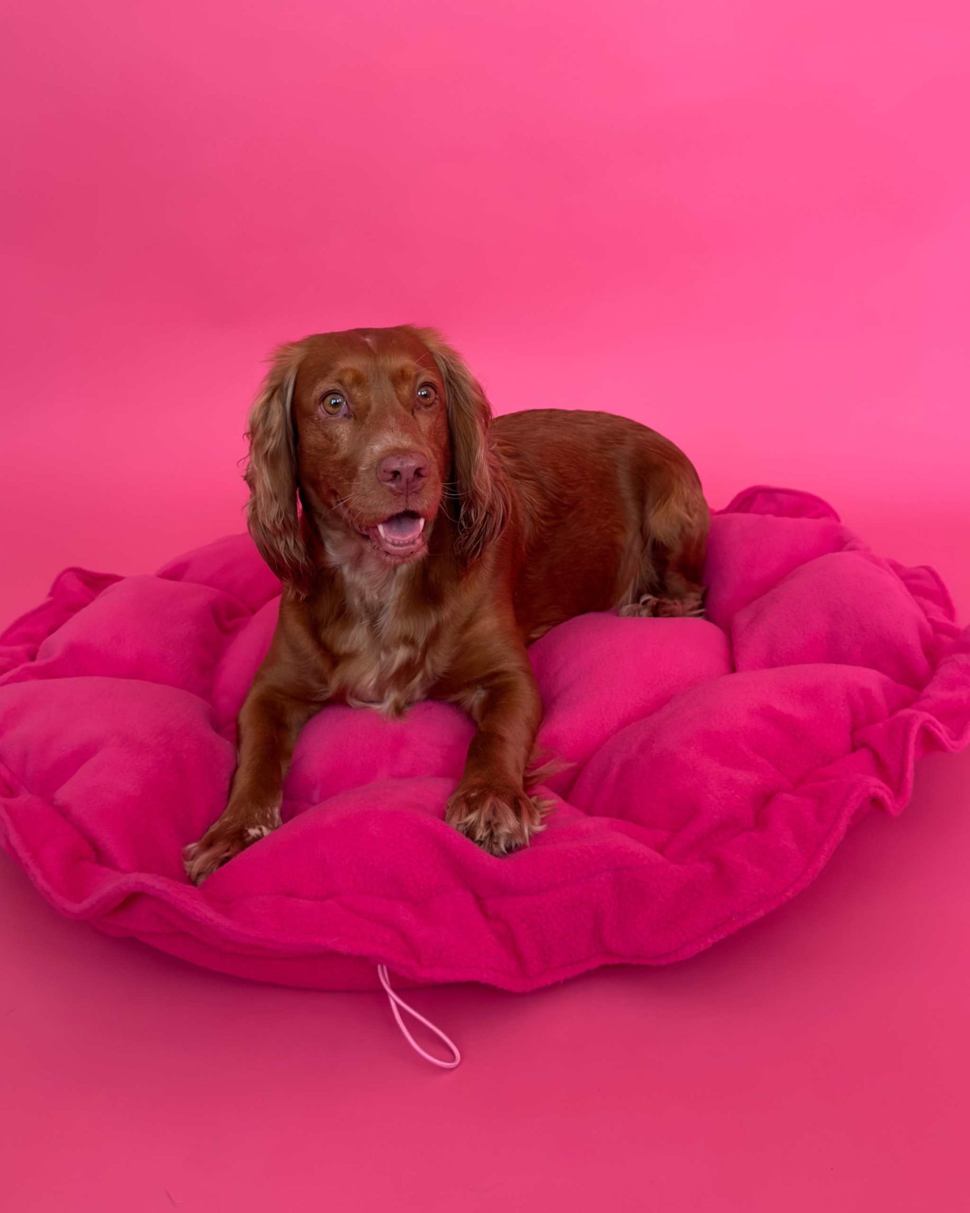Flower Dog Bed – Hot Pink, Convertible Round Nest