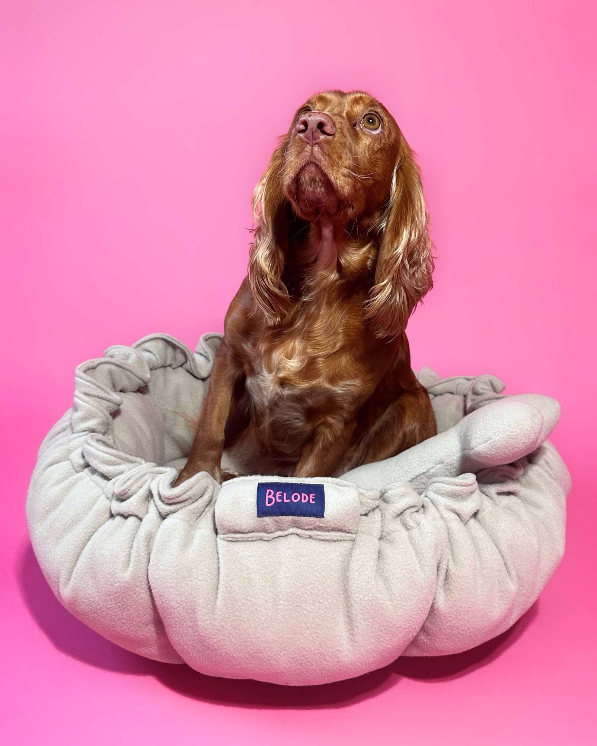 “Flower” Dog Bed - Soft Beige, Convertible Round Shape