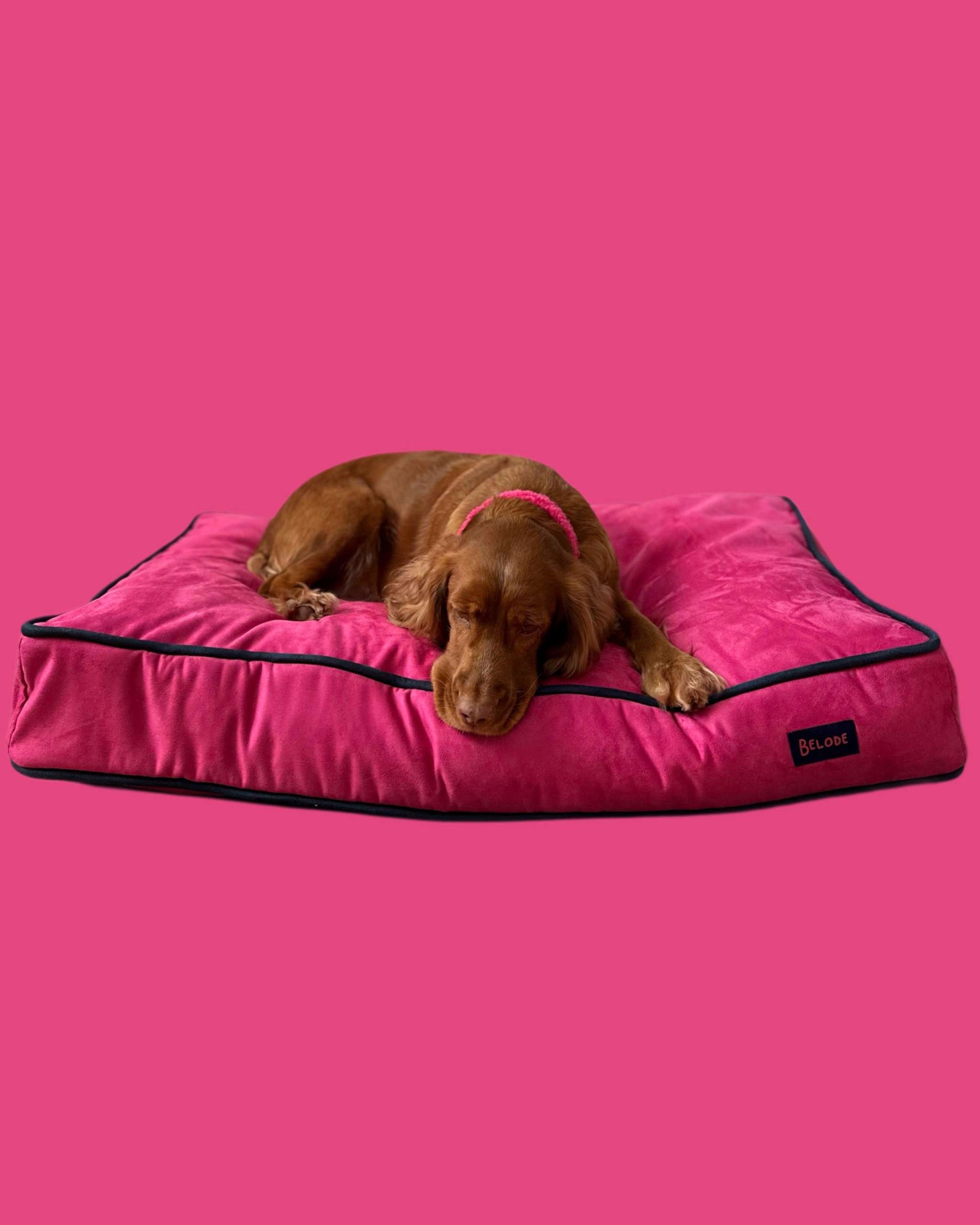 MONOCHROME DOG BED FUCHSIA / NAVY BLUE