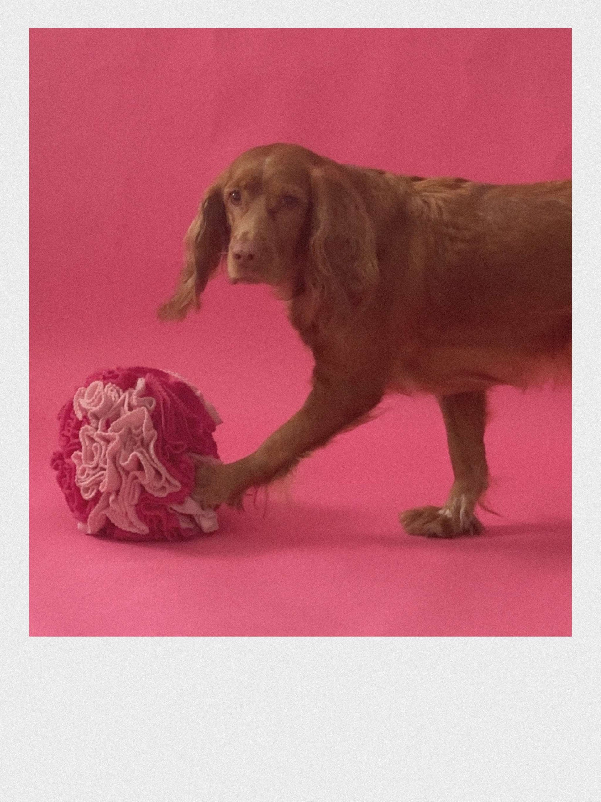 SNUFFLE BALL “FUNNY”