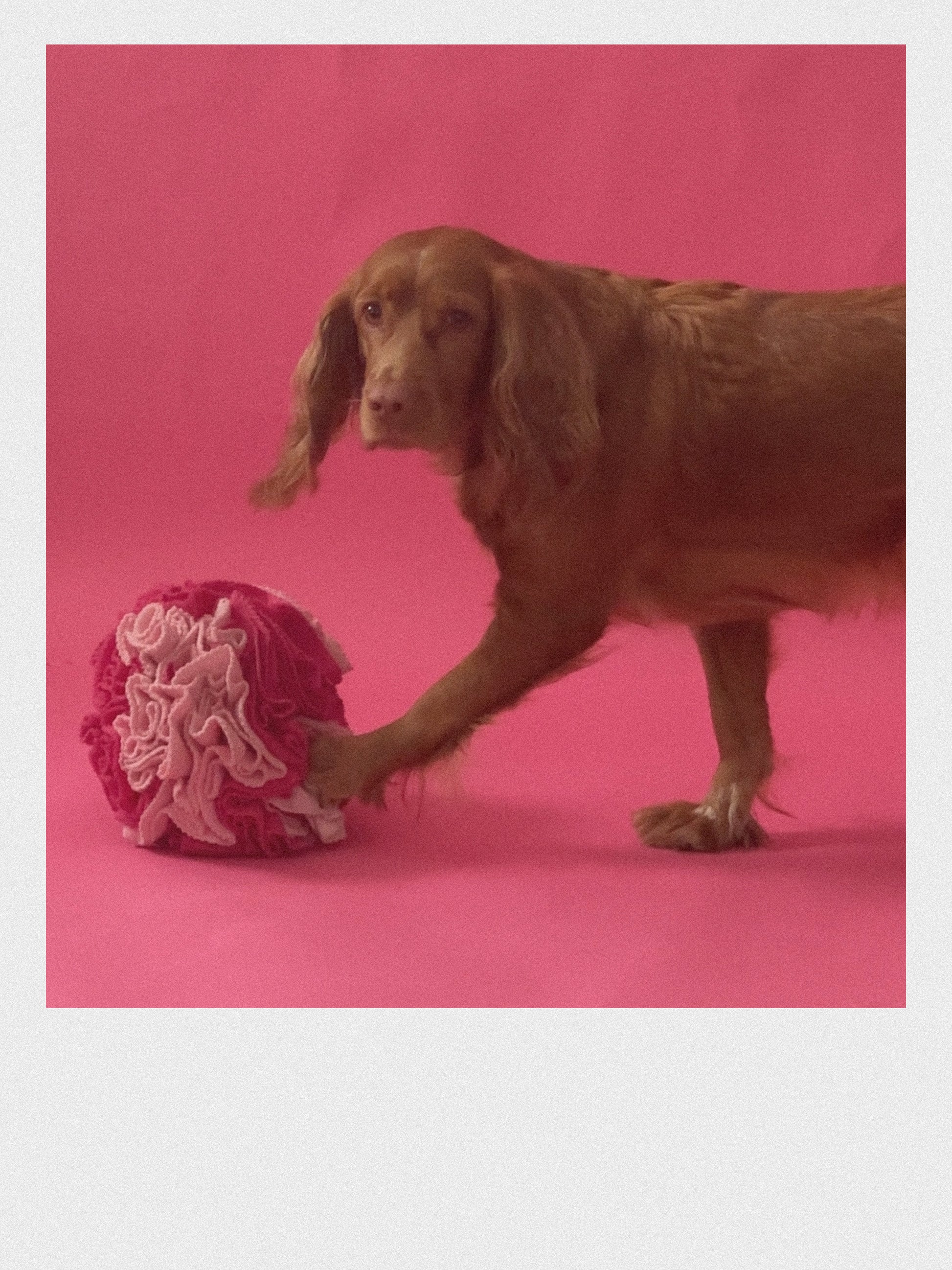 SNUFFLE BALL “CANDY”