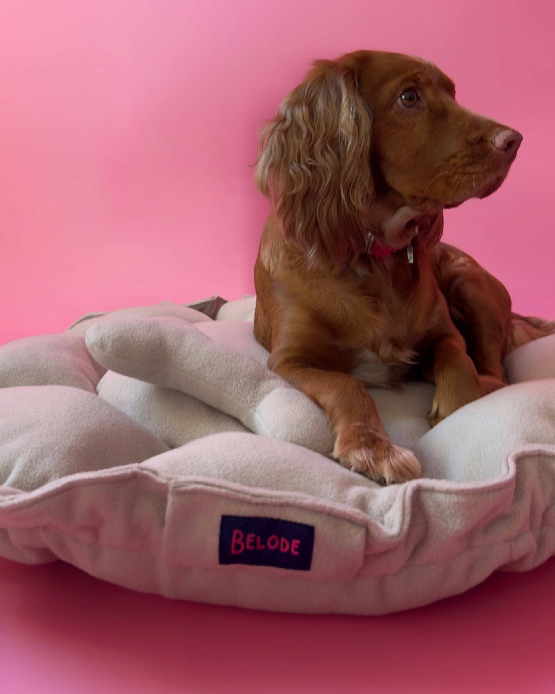 “Flower” Dog Bed - Soft Beige, Convertible Round Shape