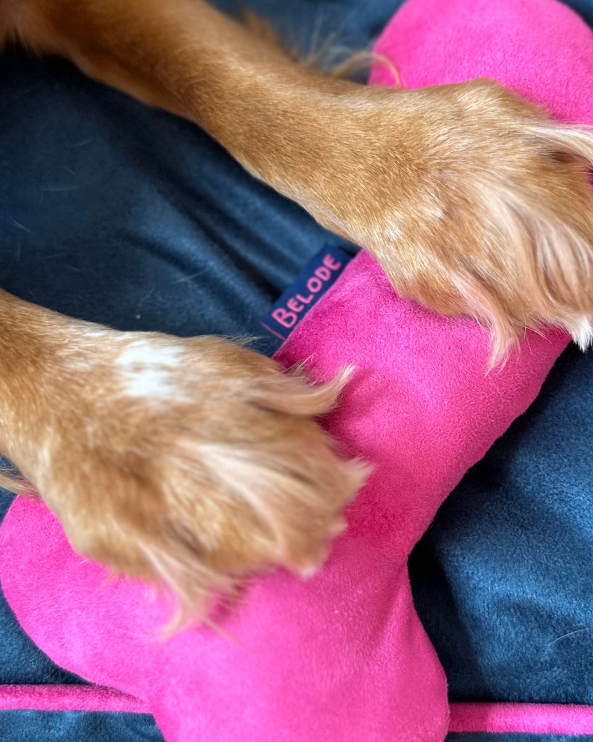 FUCHSIA PINK BONE DOG SQUEAKY TOY