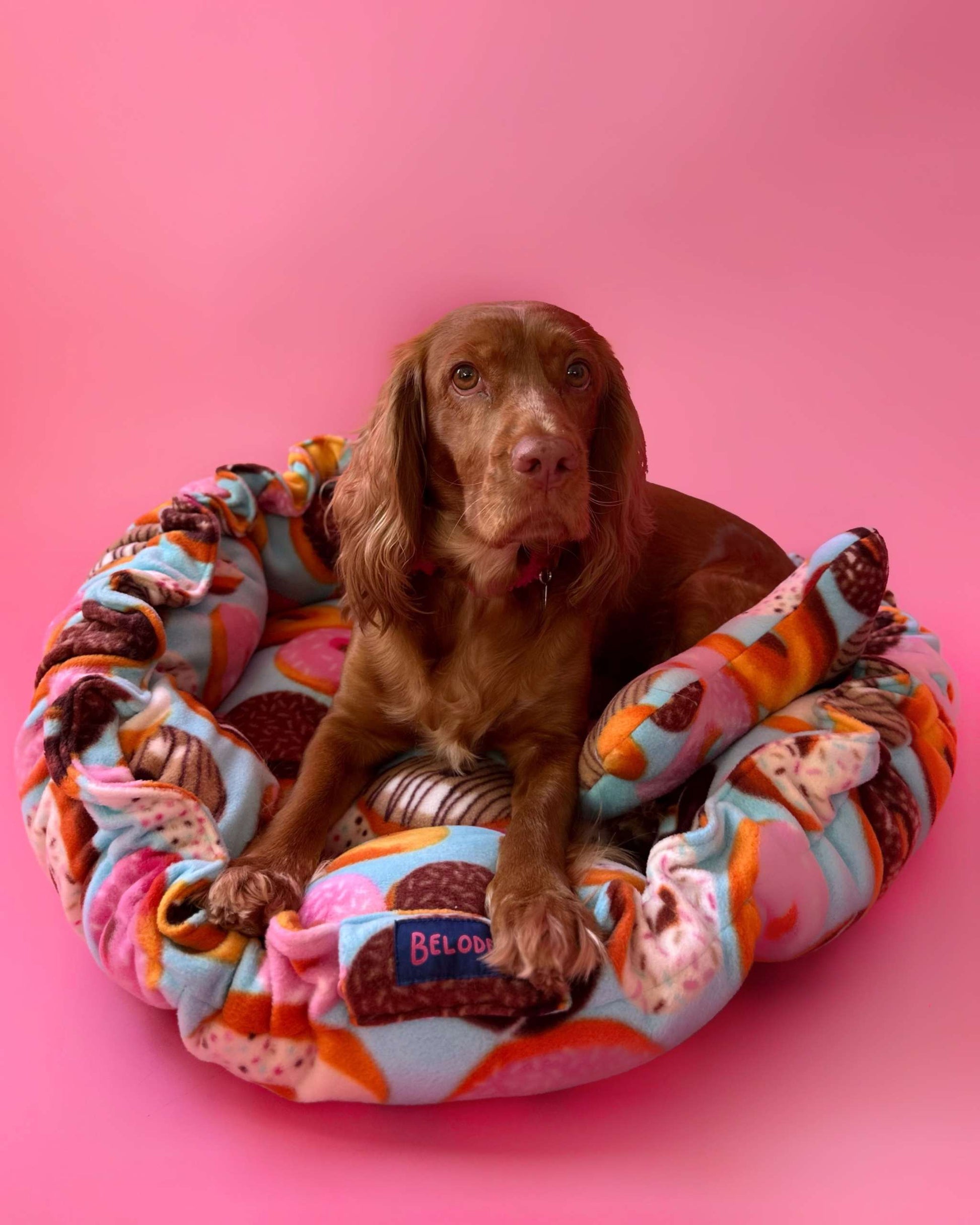 “Flower” Dog Bed - Donut Print, Convertible Round Shape