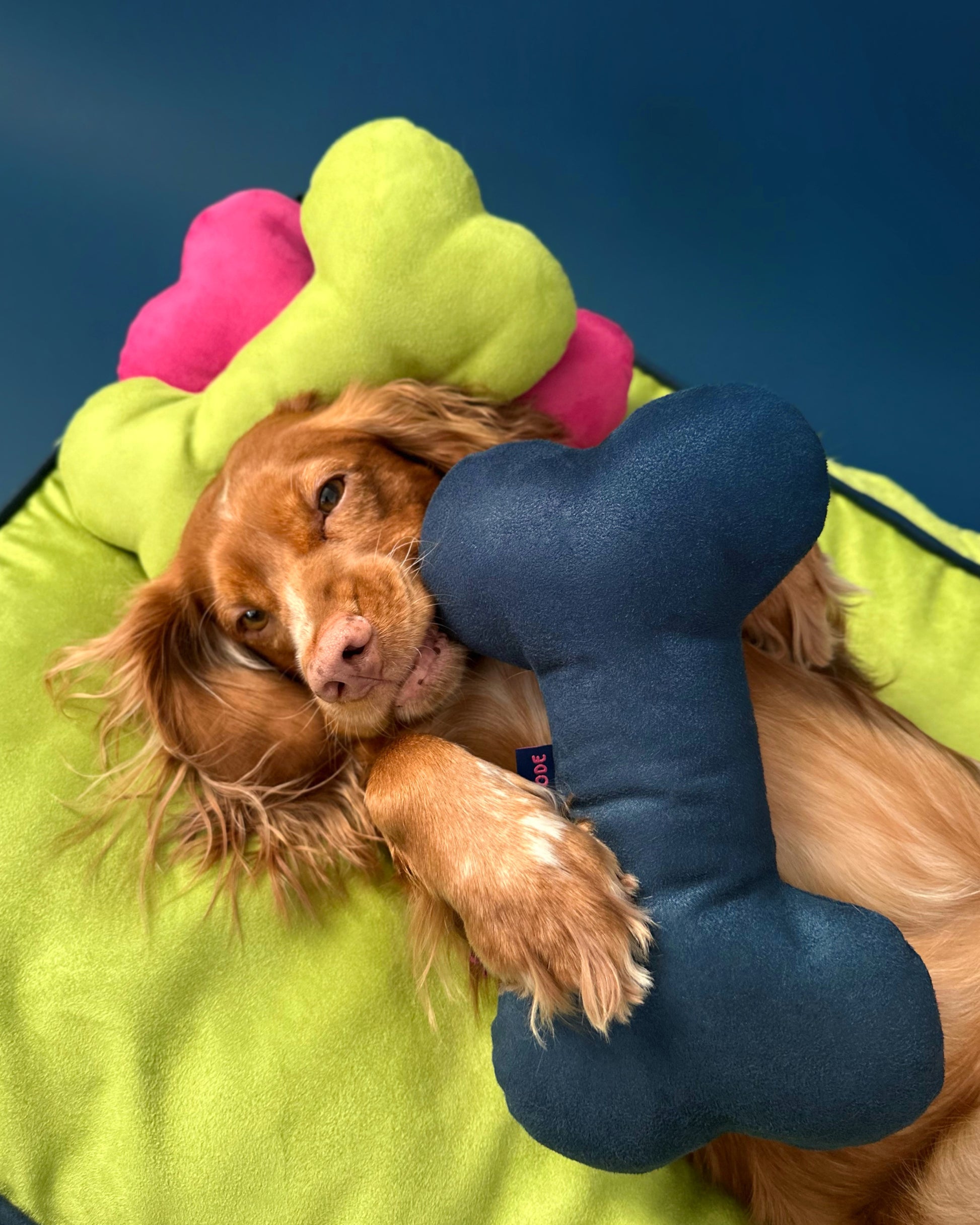NAVY BLUE BONE DOG SQUEAKY TOY