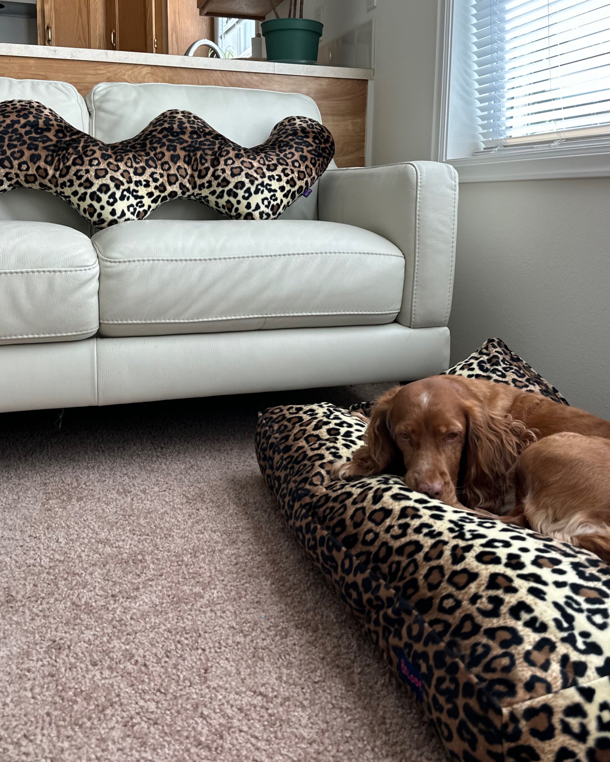 LEOPARD CURL PILLOW