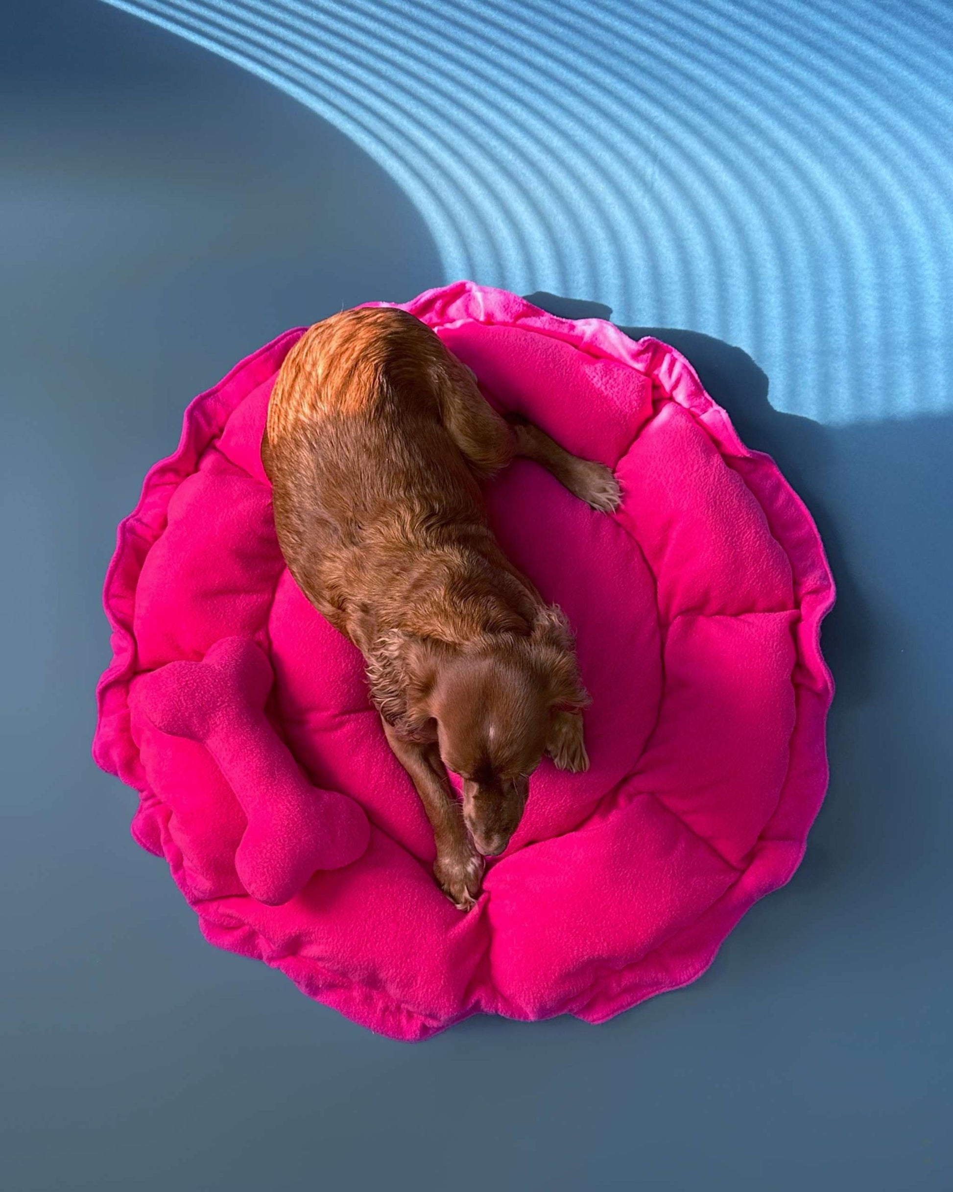 Flower Dog Bed – Hot Pink, Convertible Round Nest