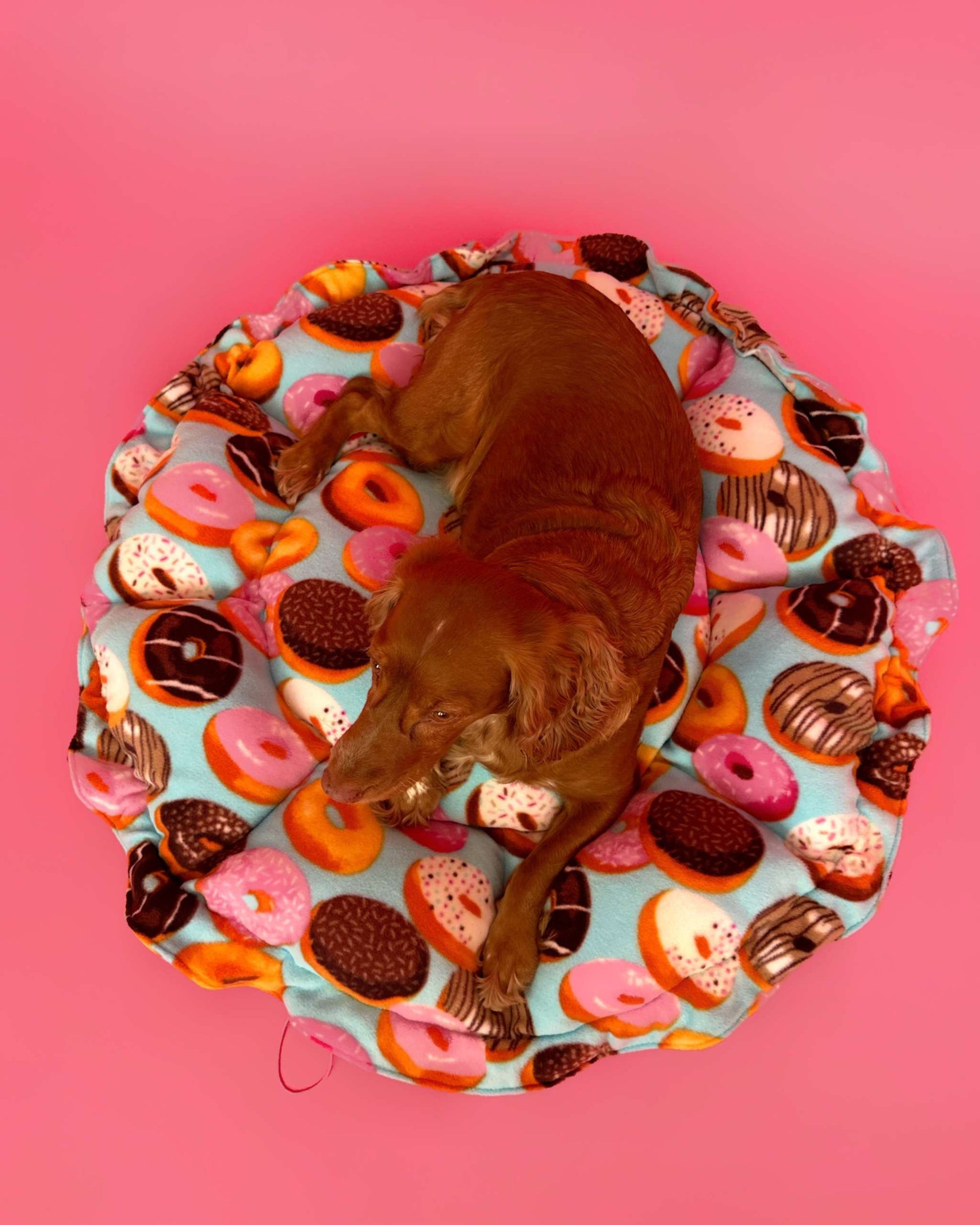 “Flower” Dog Bed - Donut Print, Convertible Round Shape