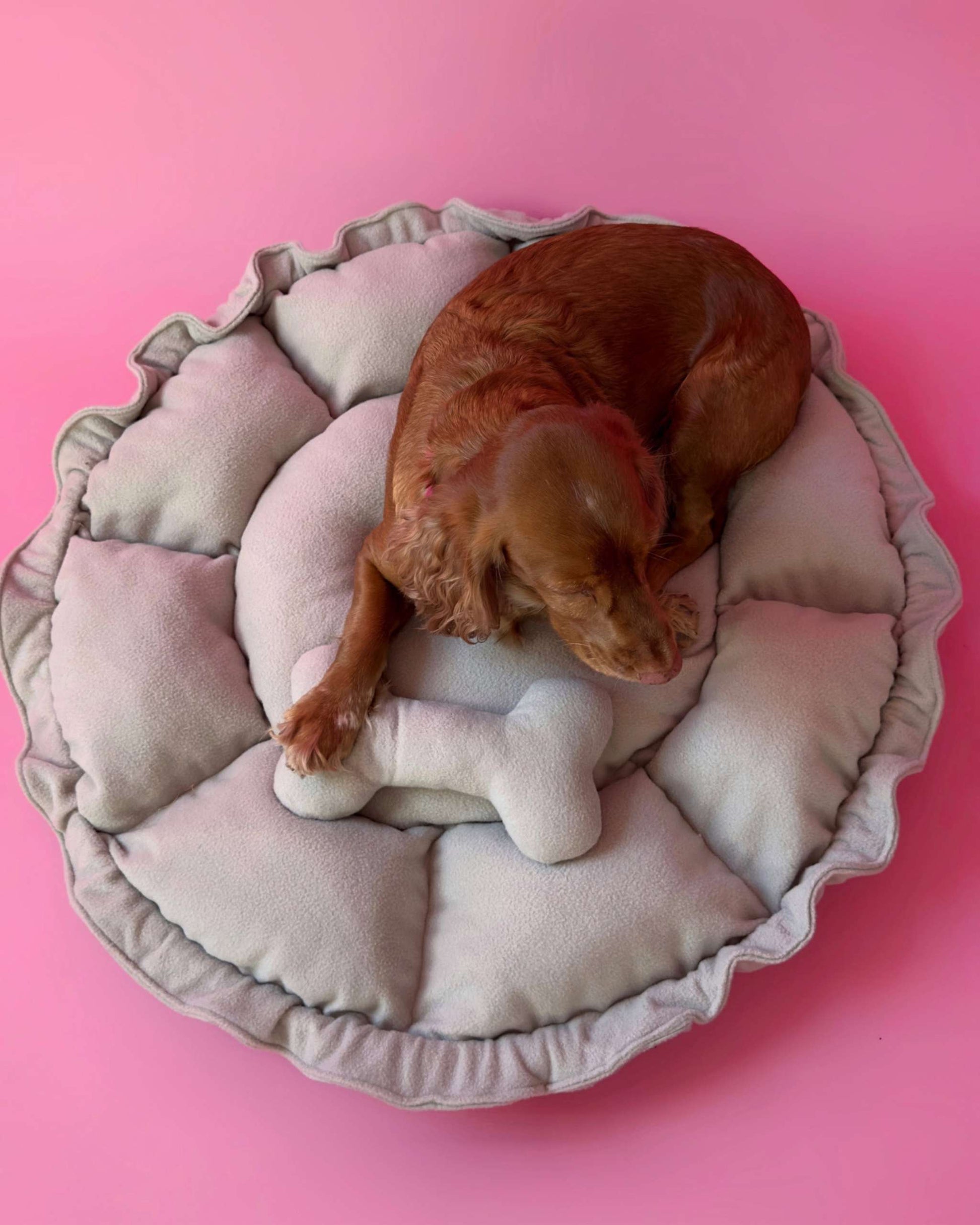 “Flower” Dog Bed - Soft Beige, Convertible Round Shape