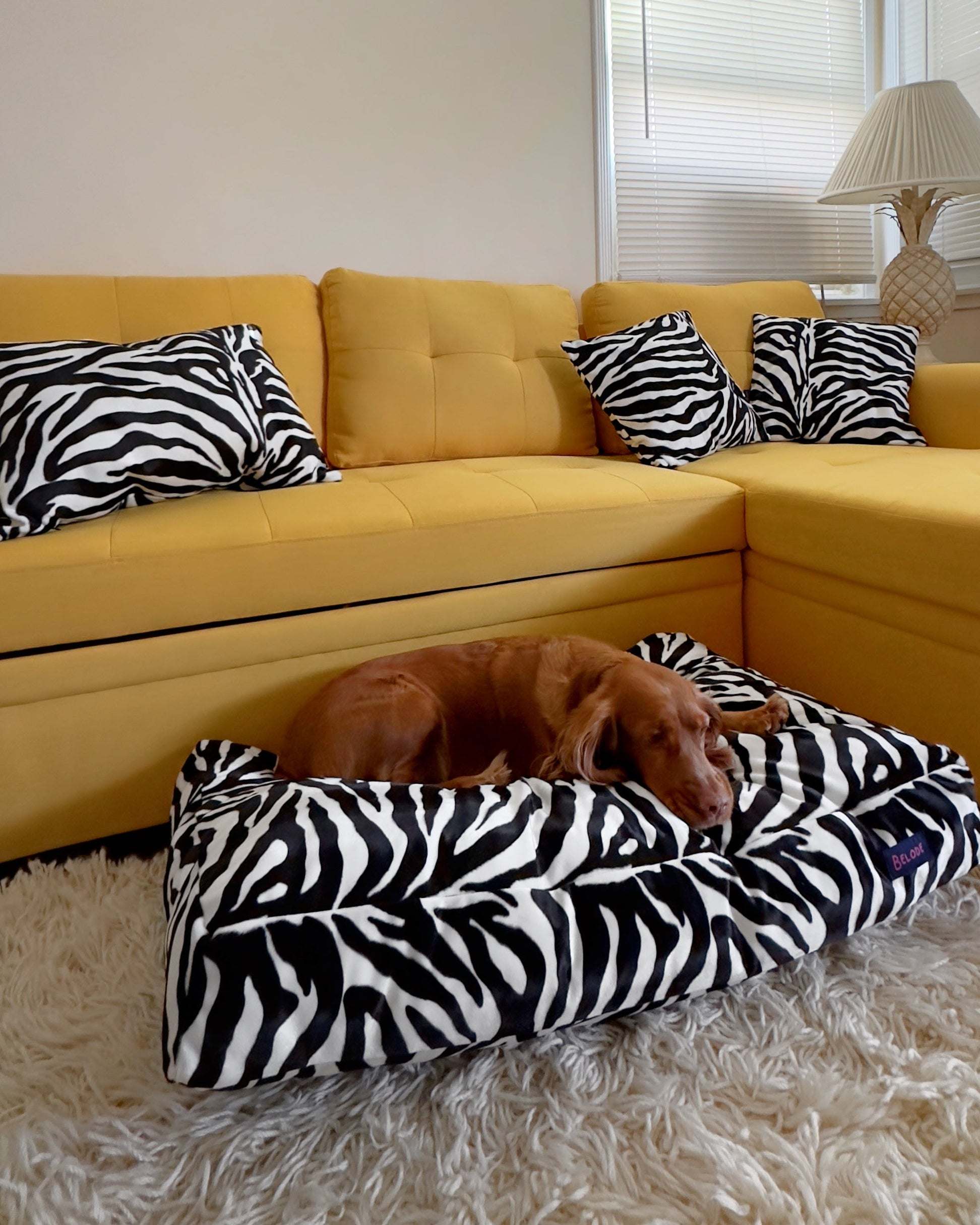 ZEBRA DOG BED WHITE/BLACK