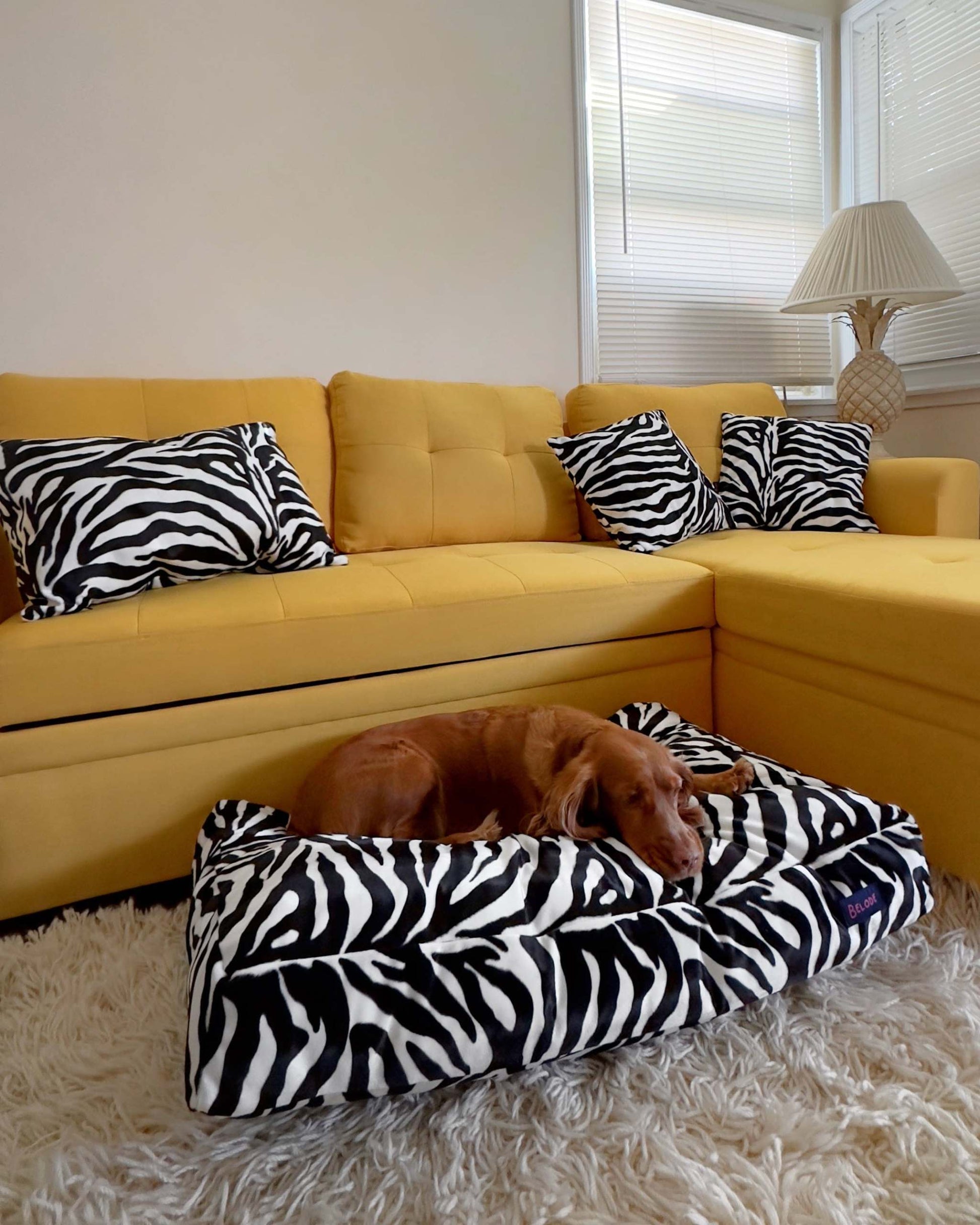 ZEBRA INTERIOR CUSION WHITE/BLACK