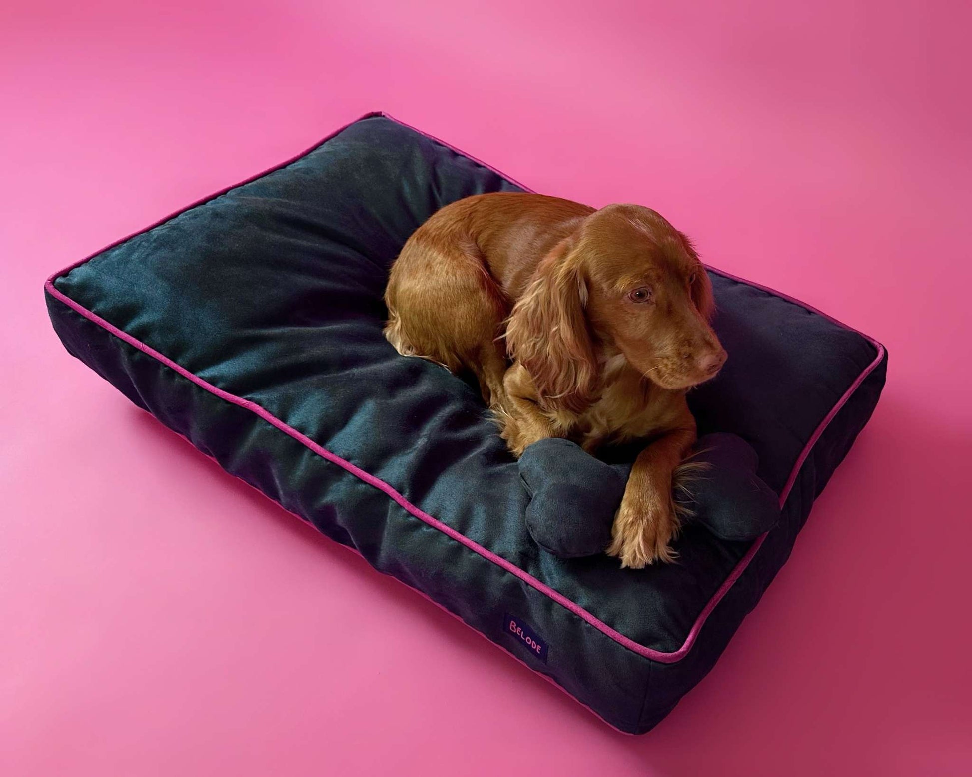 MONOCHROME DOG BED NAVY BLUE / FUCHSIA PINK