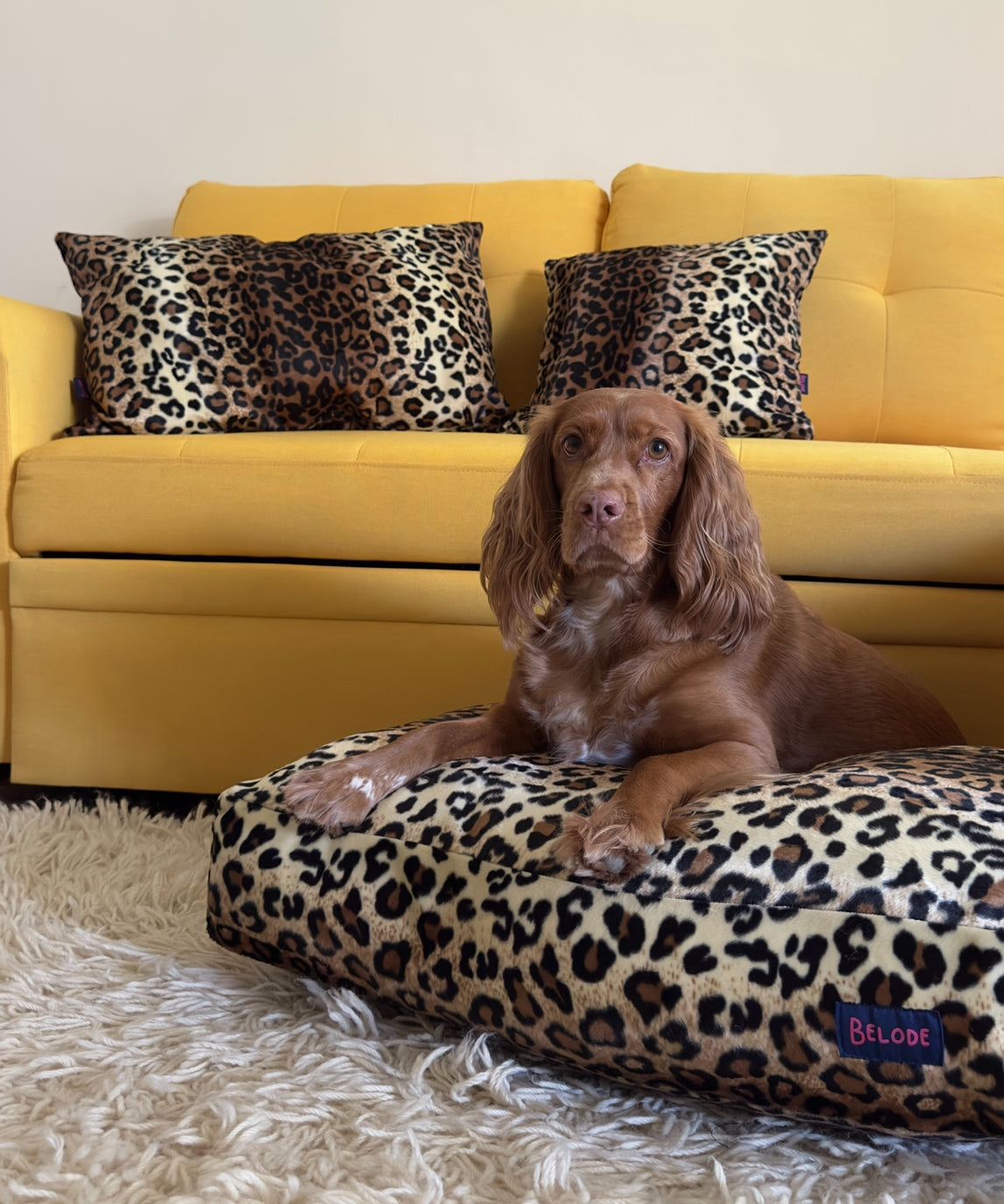 LEOPARD  INTERIOR CUSION BROWN/BLACK