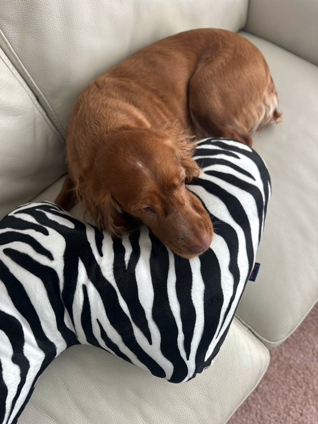 ZEBRA CURL PILLOW