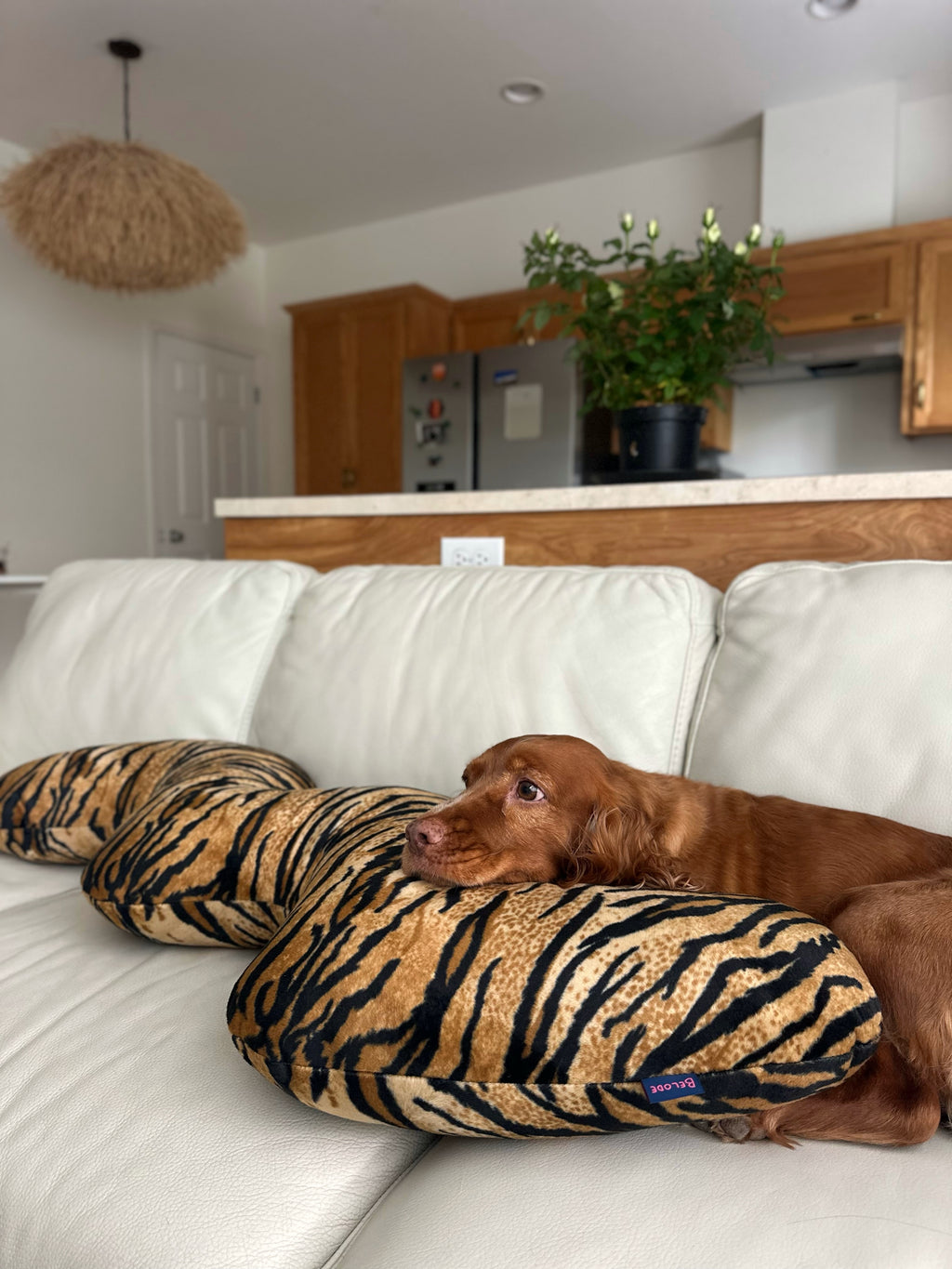 TIGER CURL PILLOW