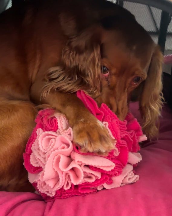 SNUFFLE BALL “FUNNY”
