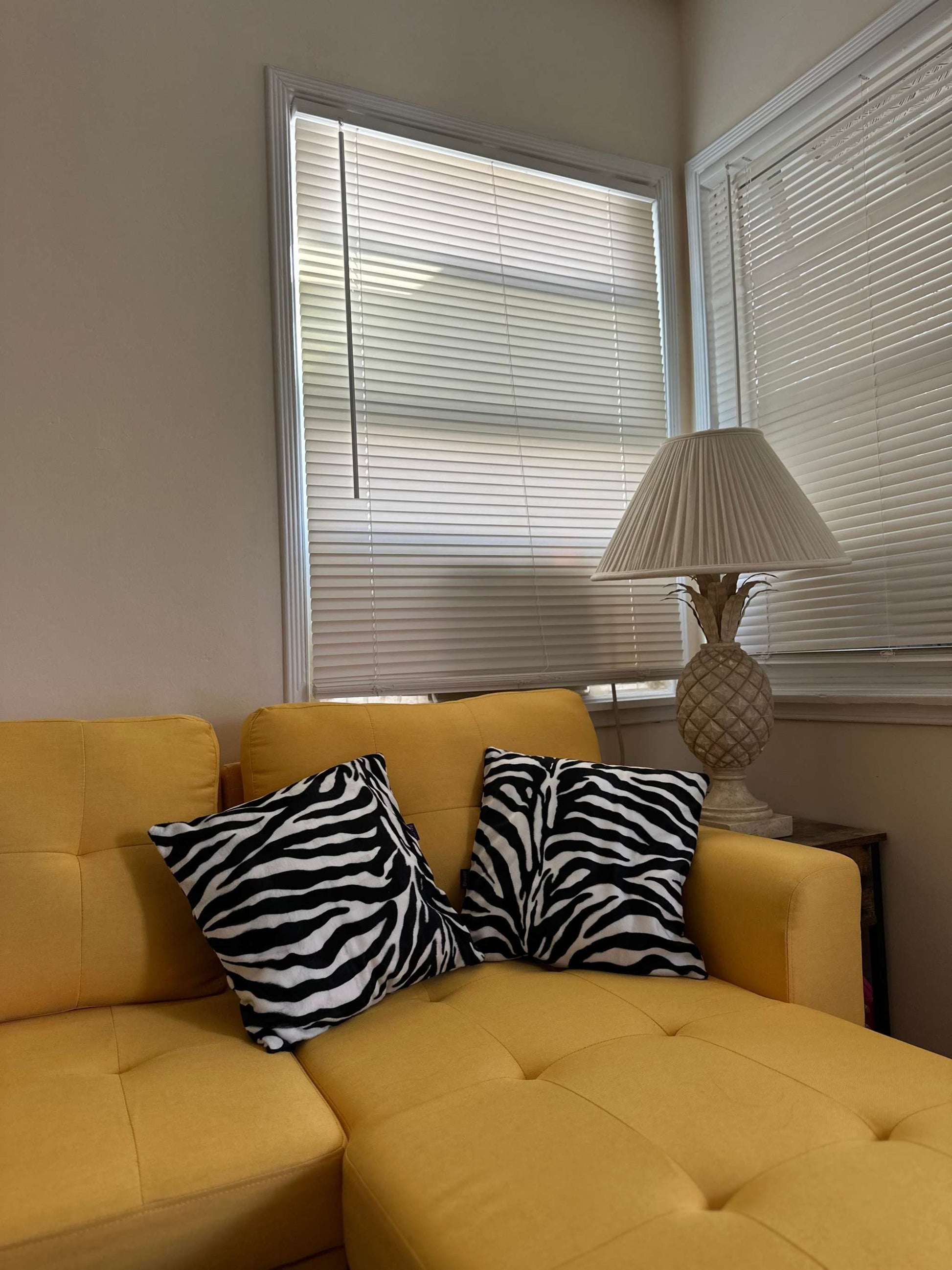 ZEBRA INTERIOR CUSION WHITE/BLACK
