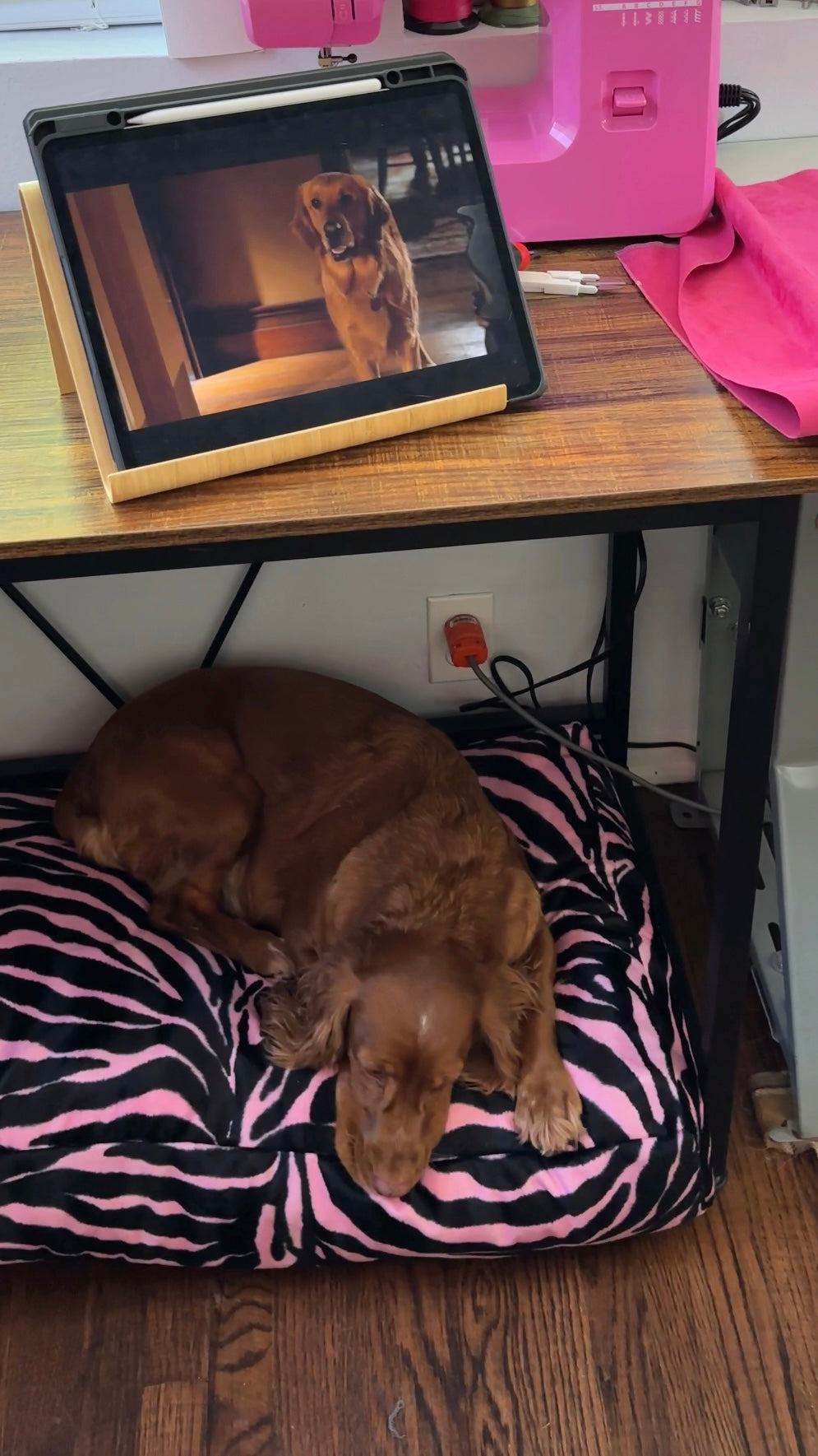 ZEBRA DOG BED PINK/BLACK