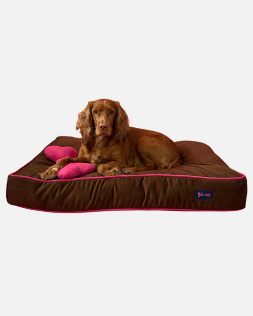 CHOCOLATE DOG BED WITH PINK EDGING