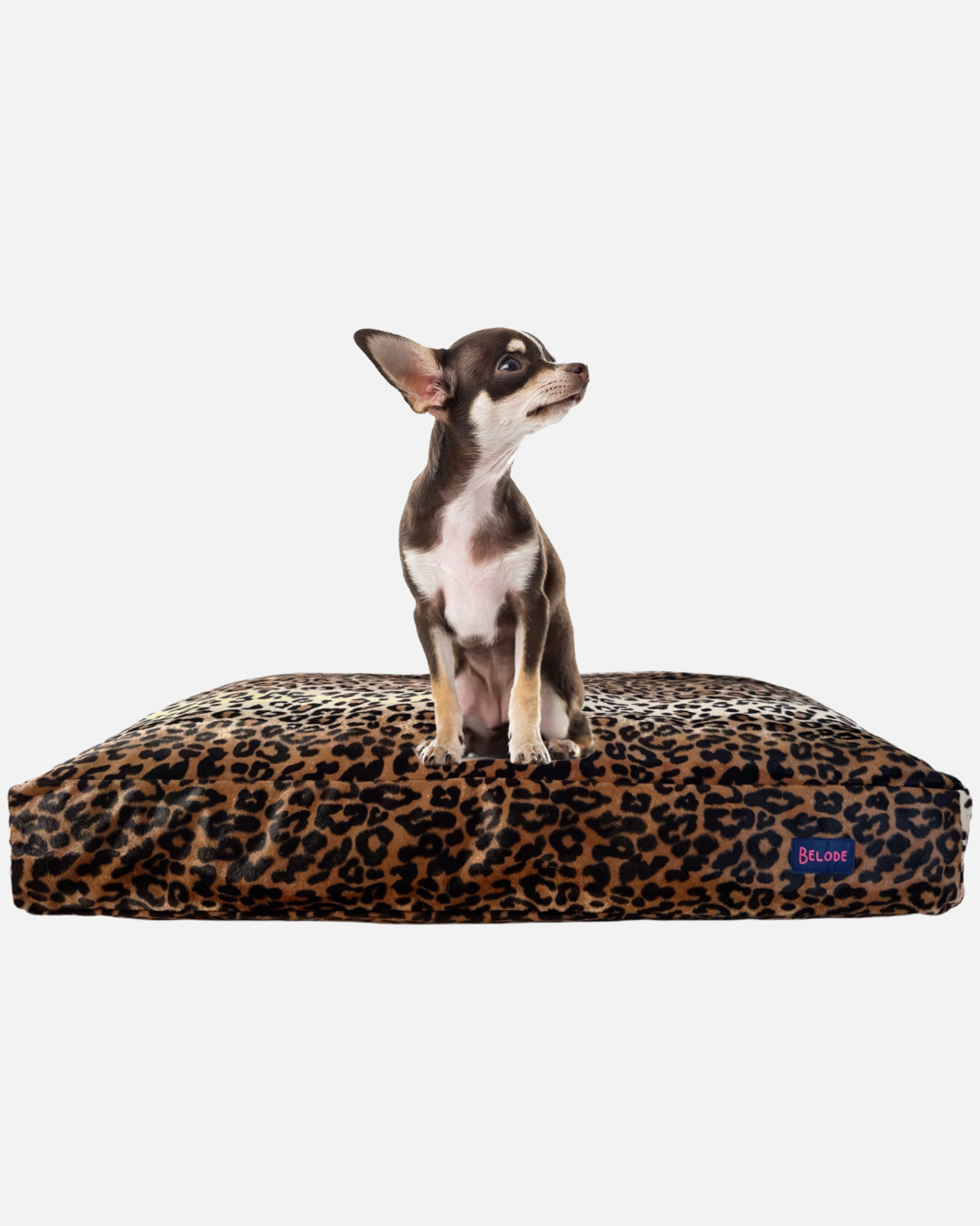 LEOPARD DOG BED BROWN/BLACK