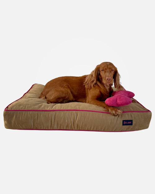 CAMEL DOG BED WITH PINK EDGING