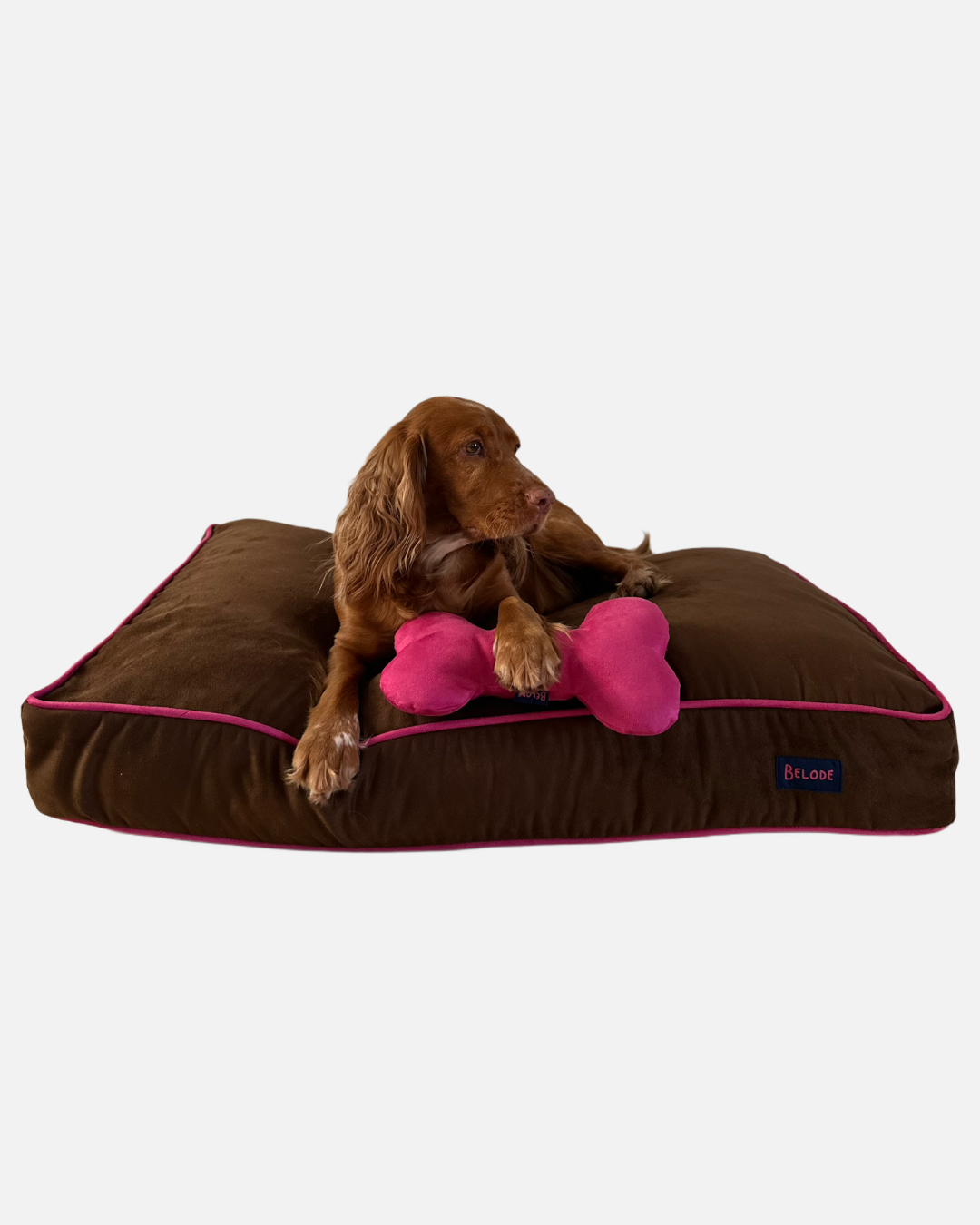 CHOCOLATE DOG BED WITH PINK EDGING
