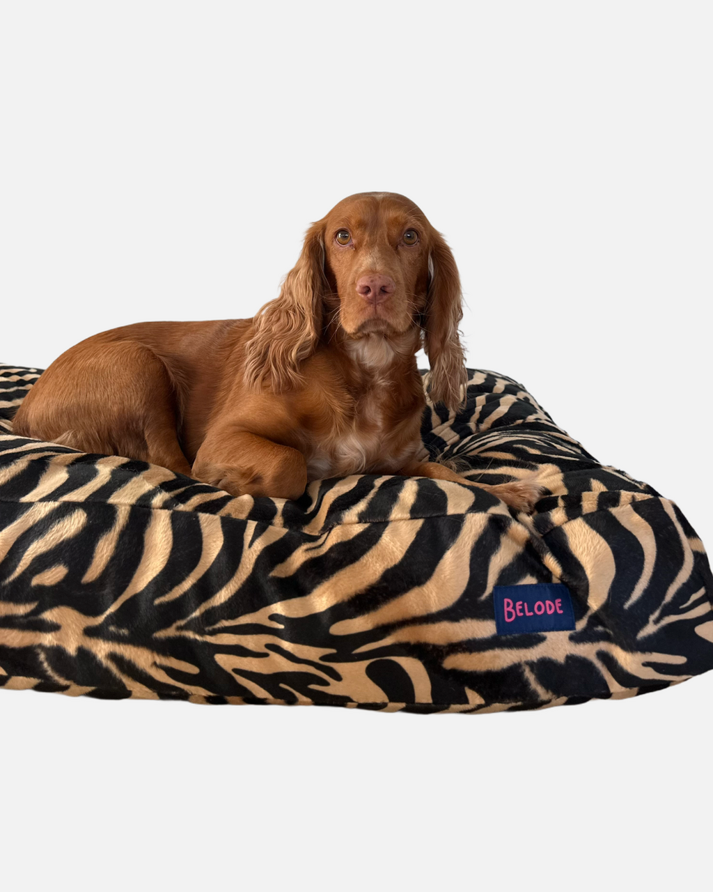 ZEBRA DOG BED BEIGE/BLACK