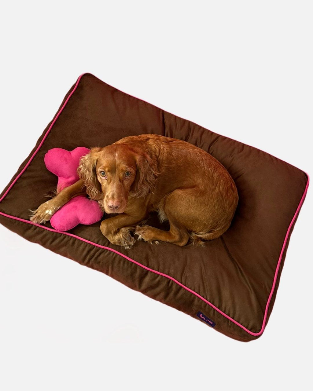 CHOCOLATE DOG BED WITH PINK EDGING