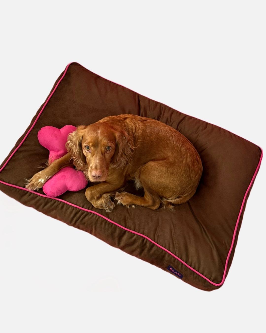 CHOCOLATE DOG BED WITH PINK EDGING