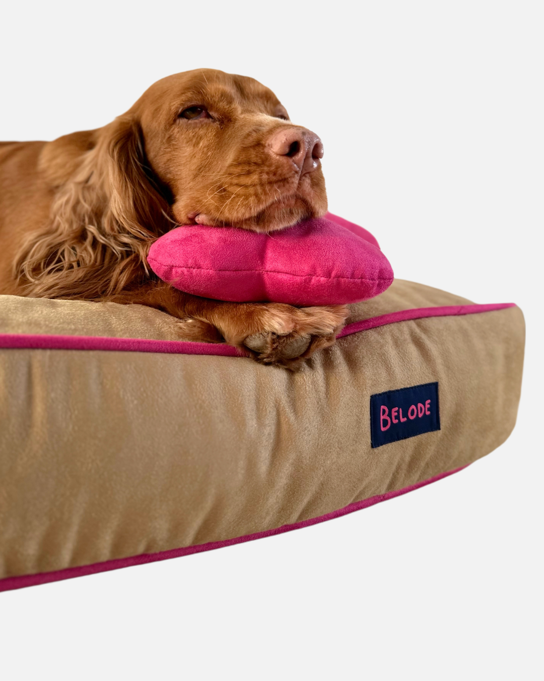 CAMEL DOG BED WITH PINK EDGING