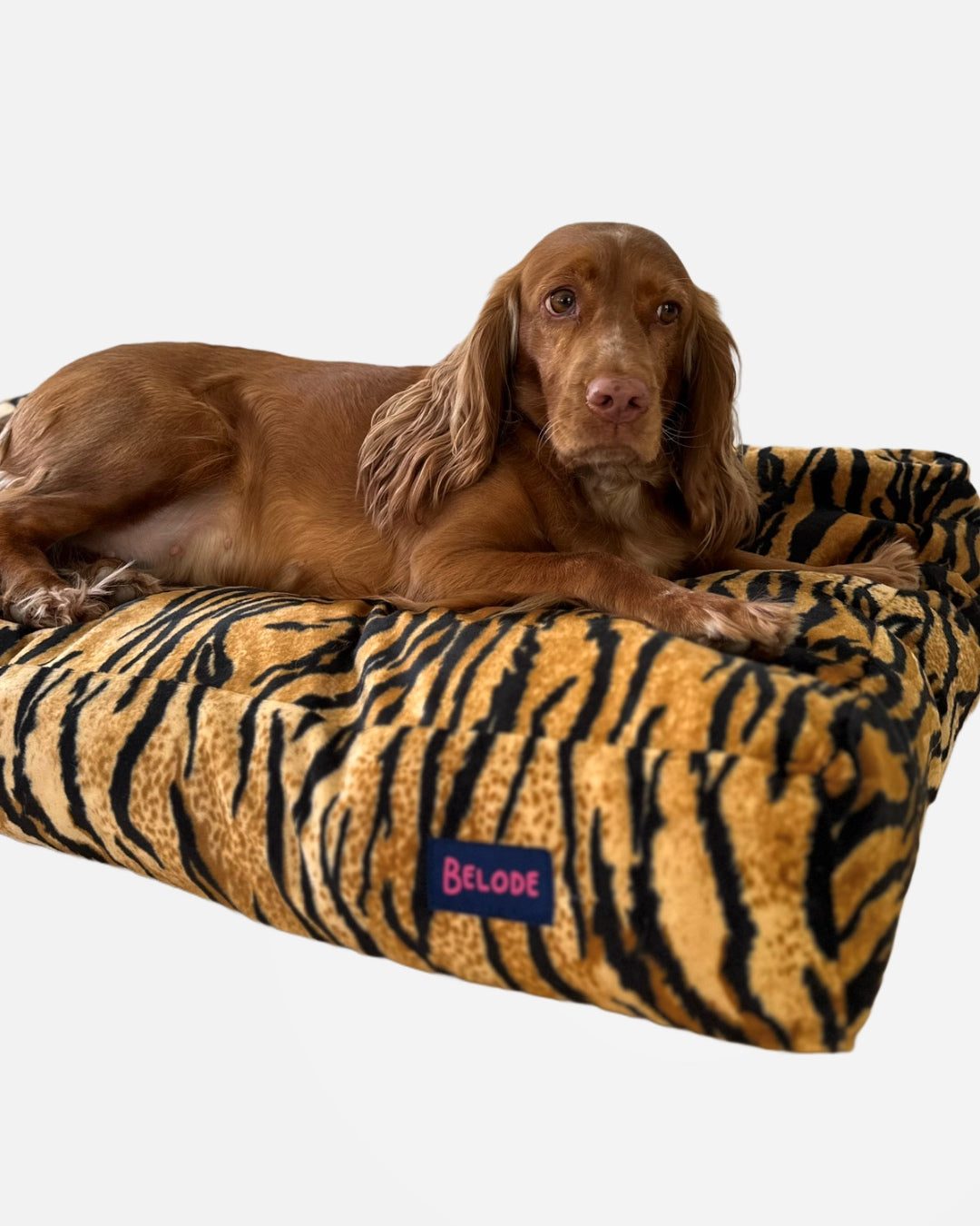 TIGER DOG BED RUST/BLACK