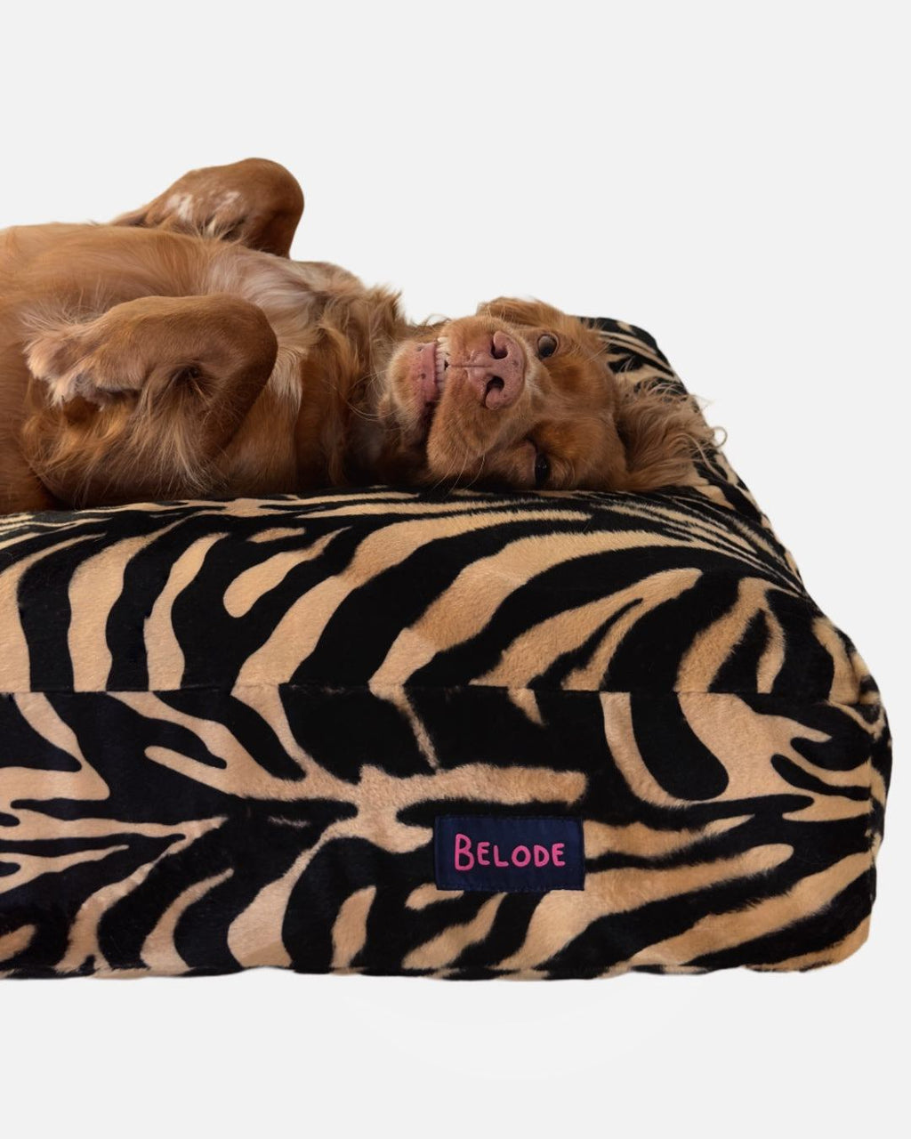 ZEBRA DOG BED BEIGE/BLACK